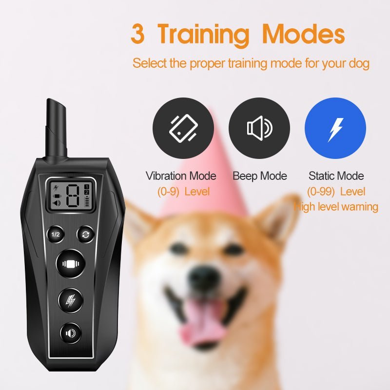 Pawious - Dog Training E - Collar T700 - Waterproof, Long Lasting Rechargeable Battery, 650ft Range - Angler's Pro Tackle & Outdoors