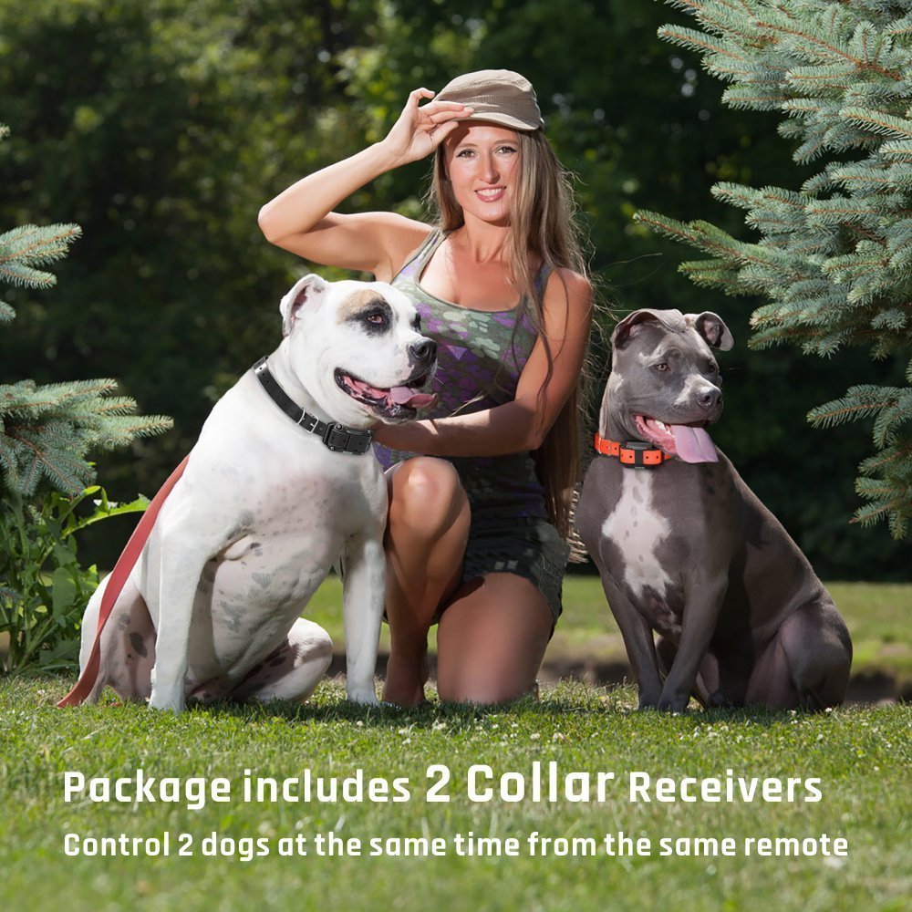 Pawious - Dog Training E - Collar T776 - Rechargeable, Long Range 2700ft, LED Light Mode, 2 Dog Set - Angler's Pro Tackle & Outdoors