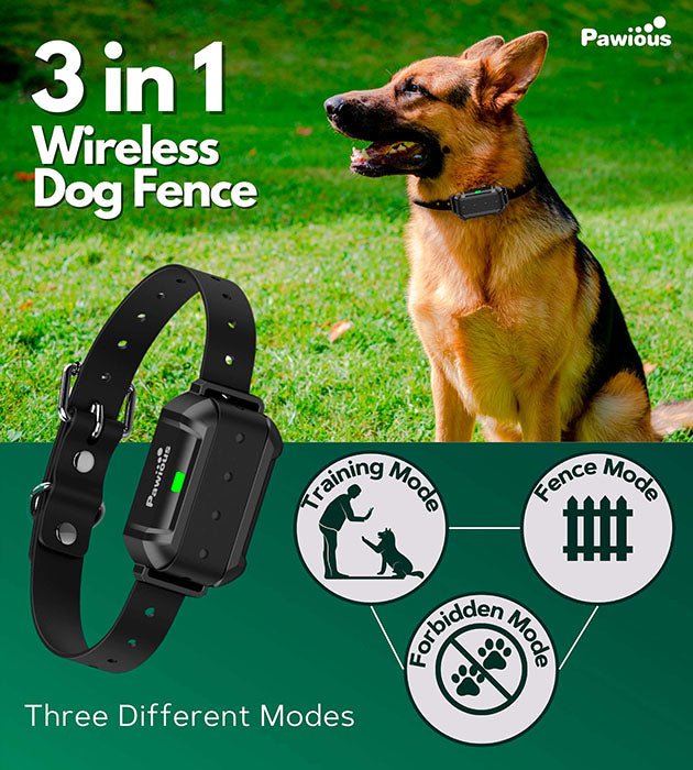 Pawious - Wireless Dog Fence & Forbidden Area F900Plus - High Precision, Set for 2 Dogs, Secure Up to 1 Acre, Perfect for Homeowners - Angler's Pro Tackle & Outdoors