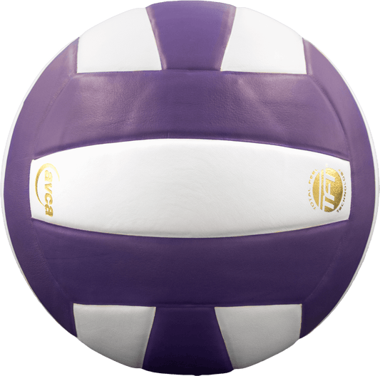 Perfection Leather Volleyball - Angler's Pro Tackle & Outdoors