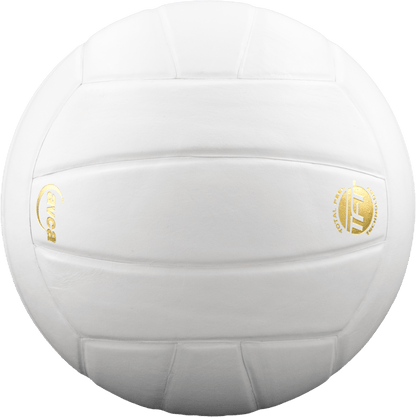 Perfection Leather Volleyball - Angler's Pro Tackle & Outdoors