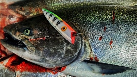 Ice Strong Outdoors - Killer Fish - UNIVERSAL PLUG HARNESS 2 PACK - BRAND NEW FEB 2026!