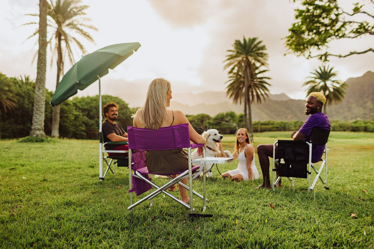 Picnic Time Sports Chair