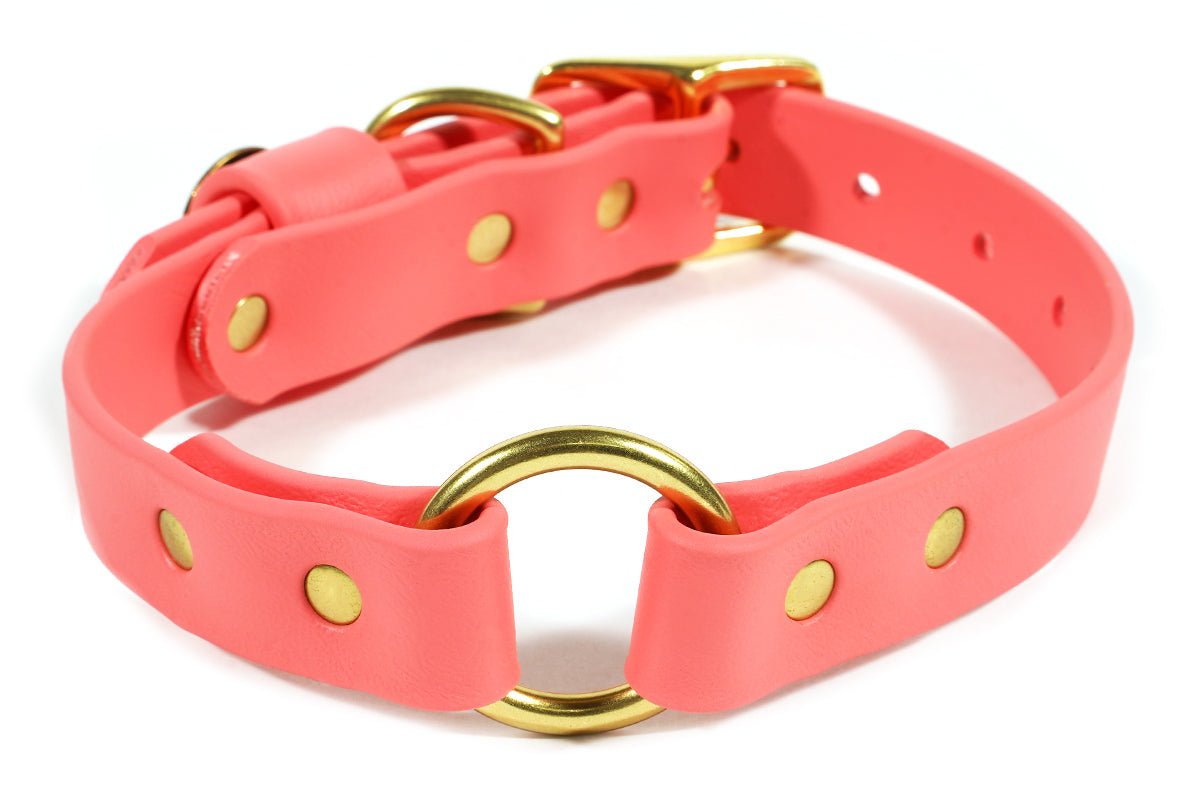 Pointer Traditions Hunting Dog Center Ring Collar - Coral - Angler's Pro Tackle & Outdoors