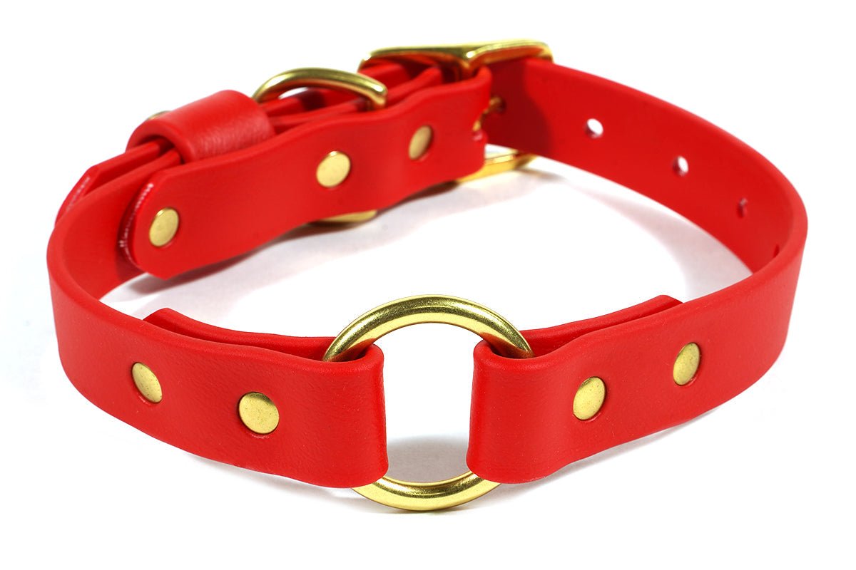 Pointer Traditions Hunting Dog Center Ring Collar - Red - Angler's Pro Tackle & Outdoors