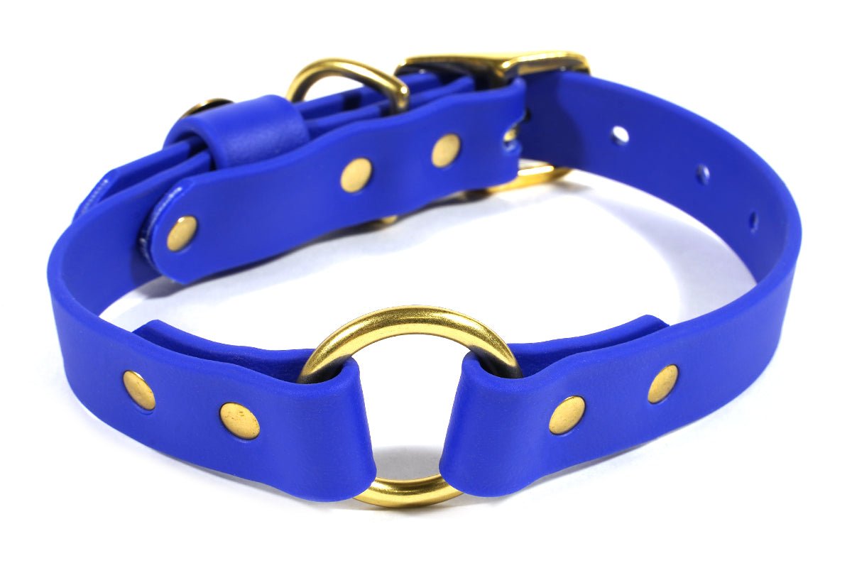 Pointer Traditions Hunting Dog Center Ring Collar - River Blue - Angler's Pro Tackle & Outdoors