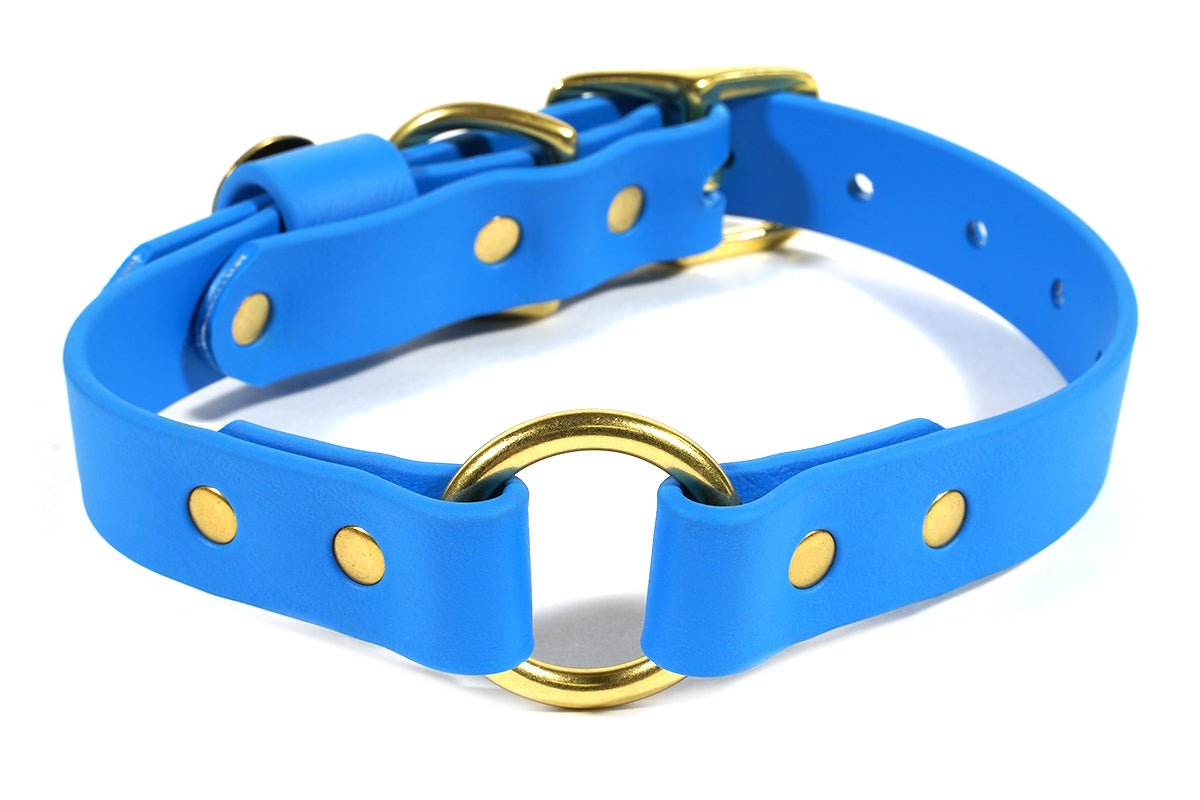 Pointer Traditions Hunting Dog Center Ring Collar - Sky Blue - Angler's Pro Tackle & Outdoors