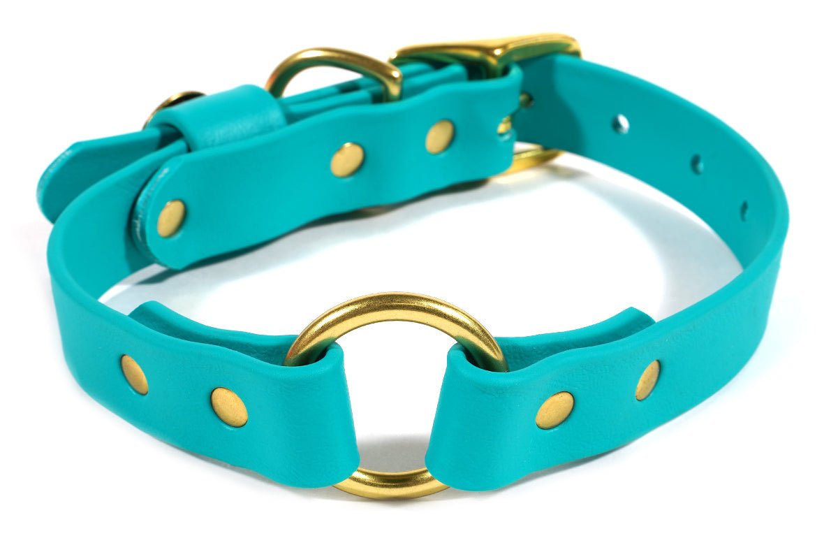 Pointer Traditions Hunting Dog Center Ring Collar - Teal - Angler's Pro Tackle & Outdoors