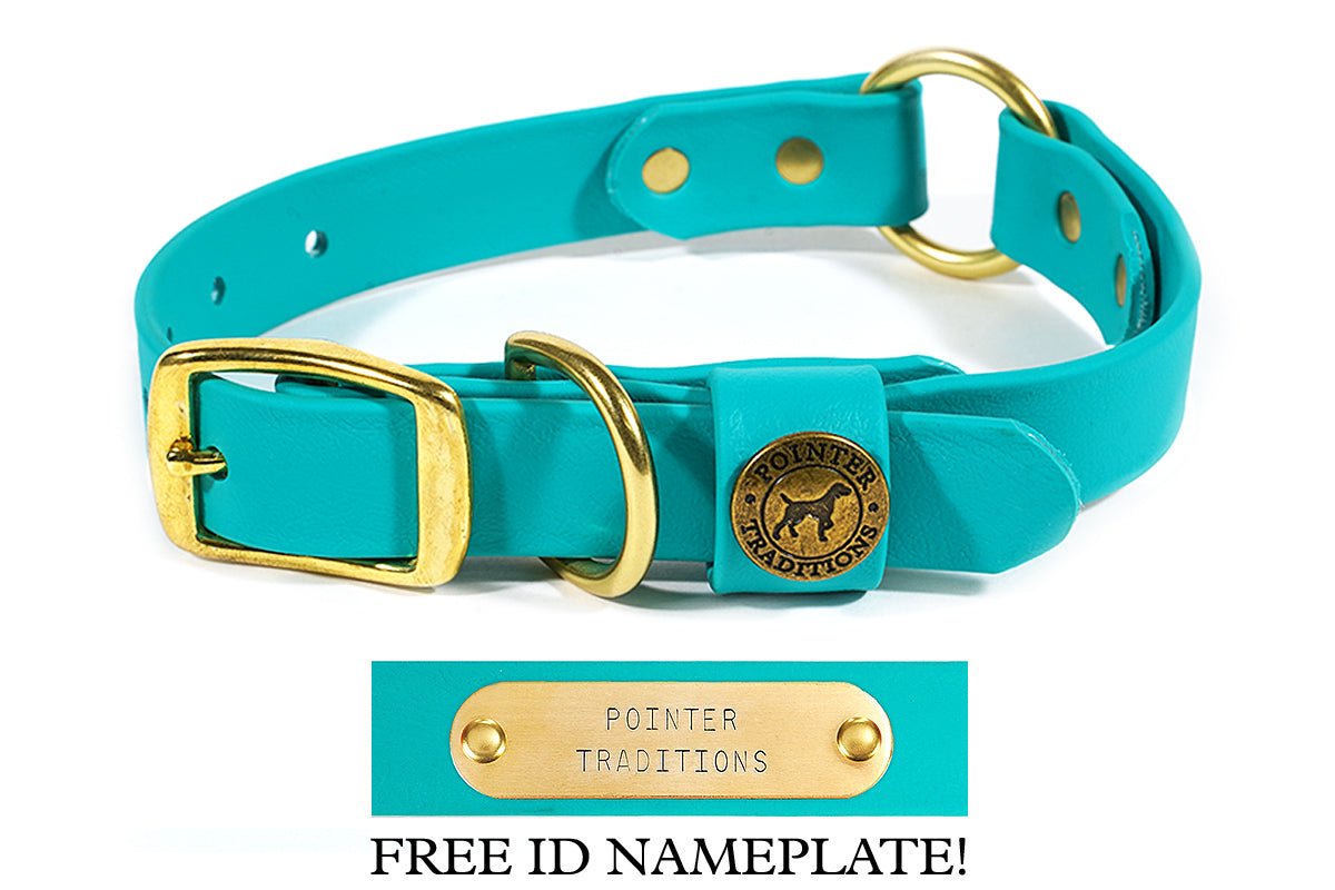 Pointer Traditions Hunting Dog Center Ring Collar - Teal - Angler's Pro Tackle & Outdoors