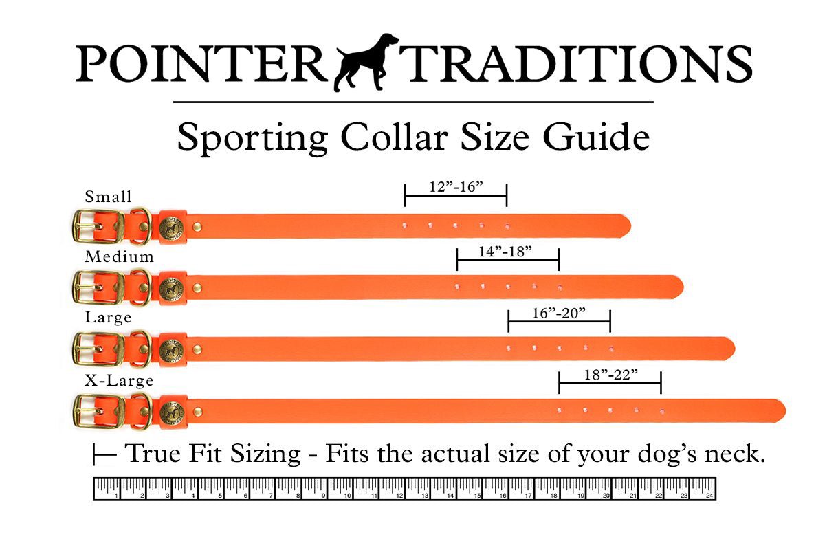 Pointer Traditions Sporting Dog Collar - Blaze Orange - Angler's Pro Tackle & Outdoors