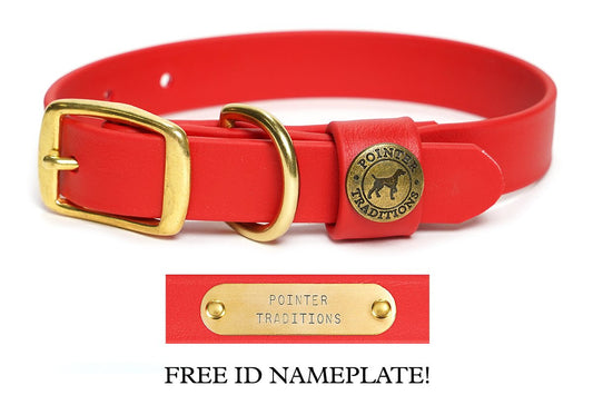 Pointer Traditions Sporting Dog Collar - Red - Angler's Pro Tackle & Outdoors