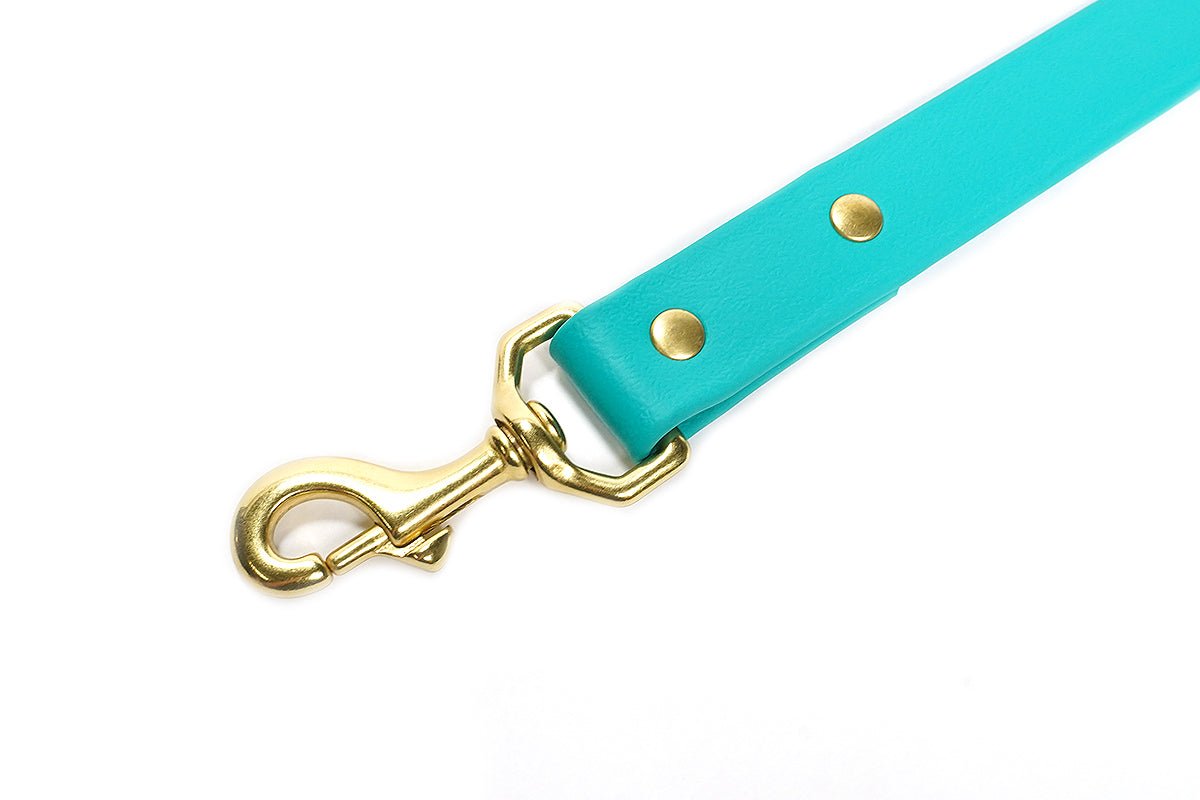 Pointer Traditions Sporting Dog Leash - Teal - Angler's Pro Tackle & Outdoors