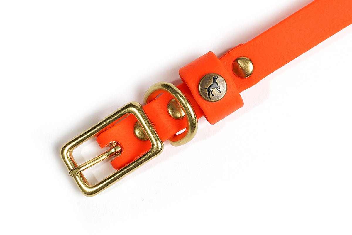 Pointer Traditions Sporting Puppy Collar - Blaze Orange - Angler's Pro Tackle & Outdoors