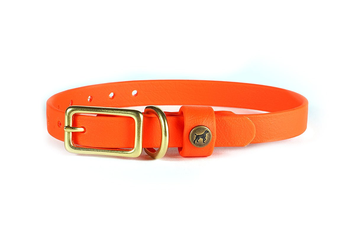 Pointer Traditions Sporting Puppy Collar - Blaze Orange - Angler's Pro Tackle & Outdoors