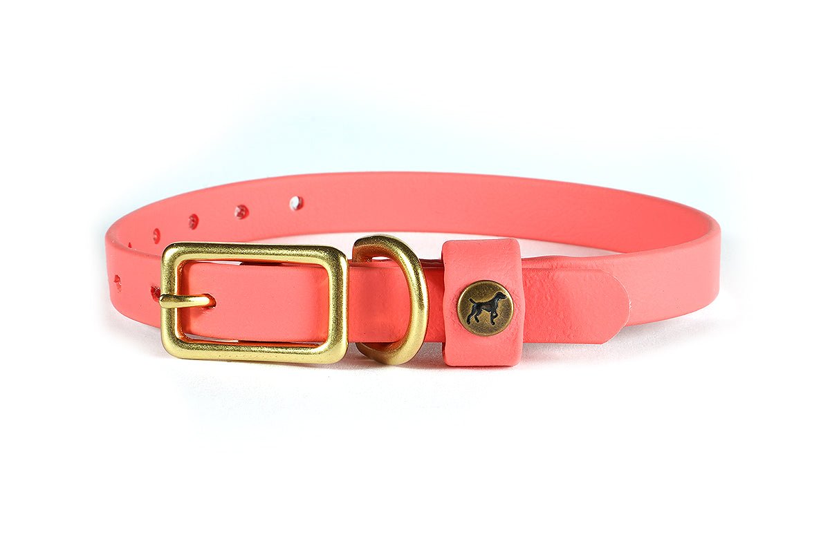 Pointer Traditions Sporting Puppy Collar - Coral - Angler's Pro Tackle & Outdoors