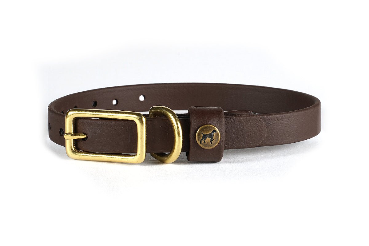 Pointer Traditions Sporting Puppy Collar - Leather Brown - Angler's Pro Tackle & Outdoors