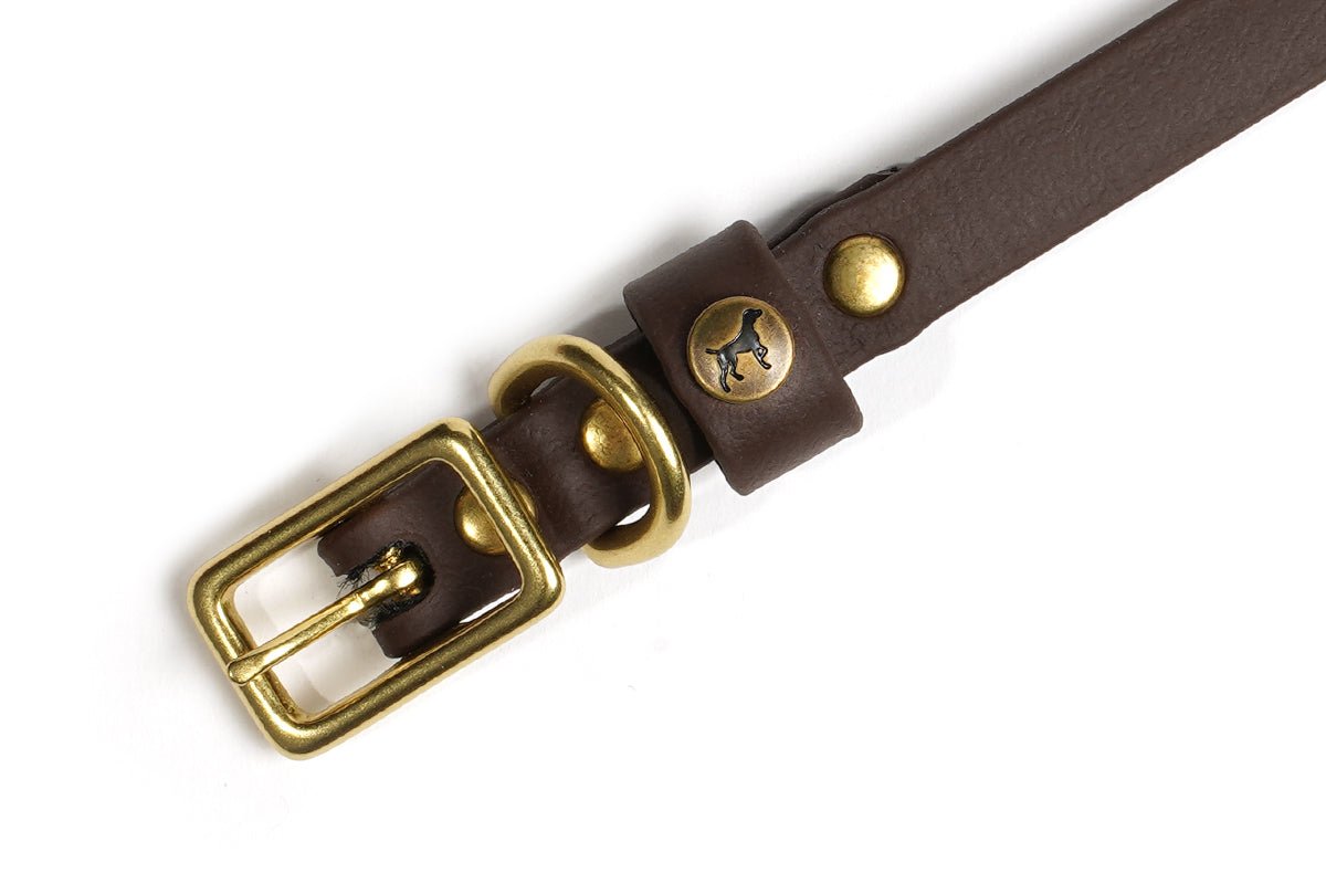 Pointer Traditions Sporting Puppy Collar - Leather Brown - Angler's Pro Tackle & Outdoors