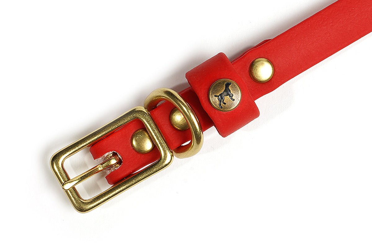 Pointer Traditions Sporting Puppy Collar - Red - Angler's Pro Tackle & Outdoors