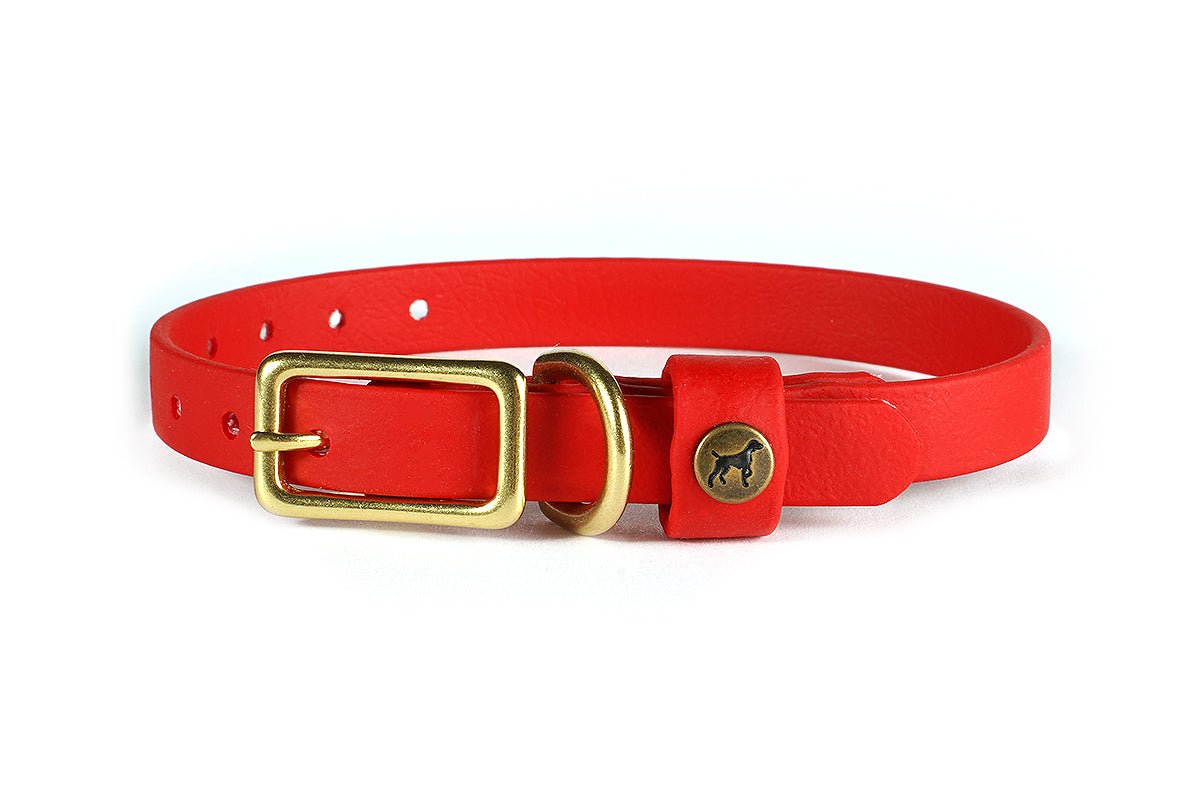 Pointer Traditions Sporting Puppy Collar - Red - Angler's Pro Tackle & Outdoors