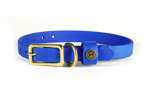 Pointer Traditions Sporting Puppy Collar - River Blue - Angler's Pro Tackle & Outdoors