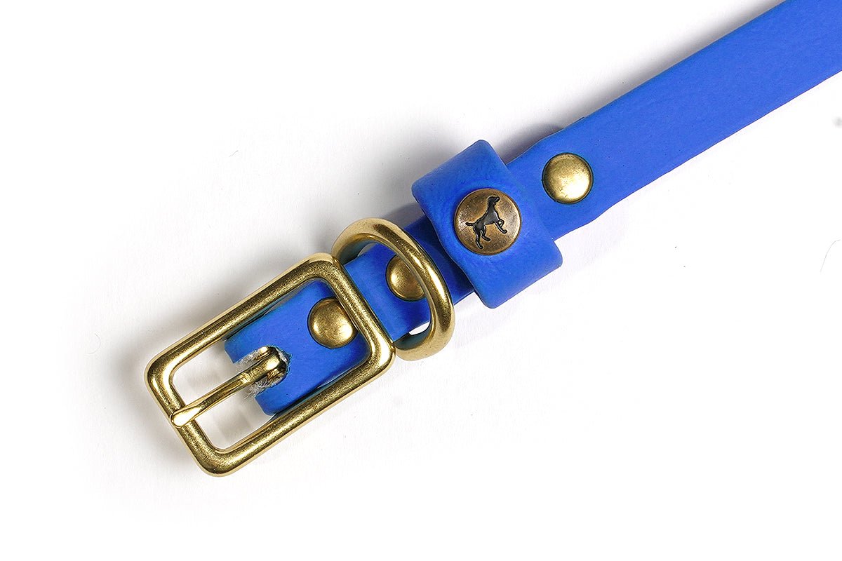 Pointer Traditions Sporting Puppy Collar - River Blue - Angler's Pro Tackle & Outdoors