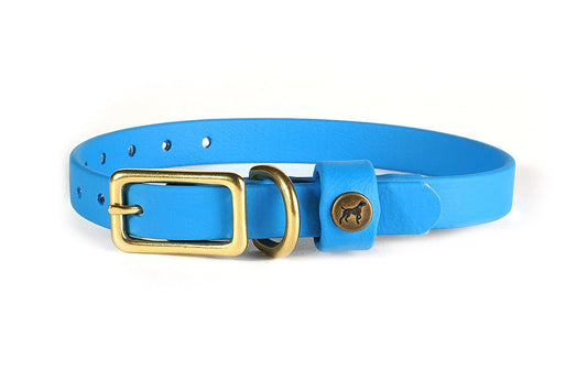 Pointer Traditions Sporting Puppy Collar - Sky Blue - Angler's Pro Tackle & Outdoors