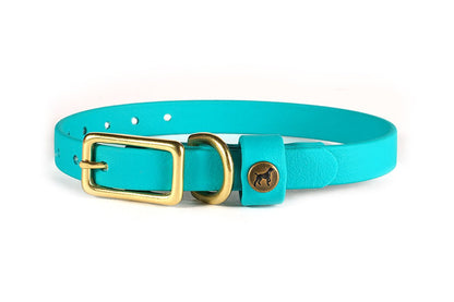 Pointer Traditions Sporting Puppy Collar - Teal - Angler's Pro Tackle & Outdoors