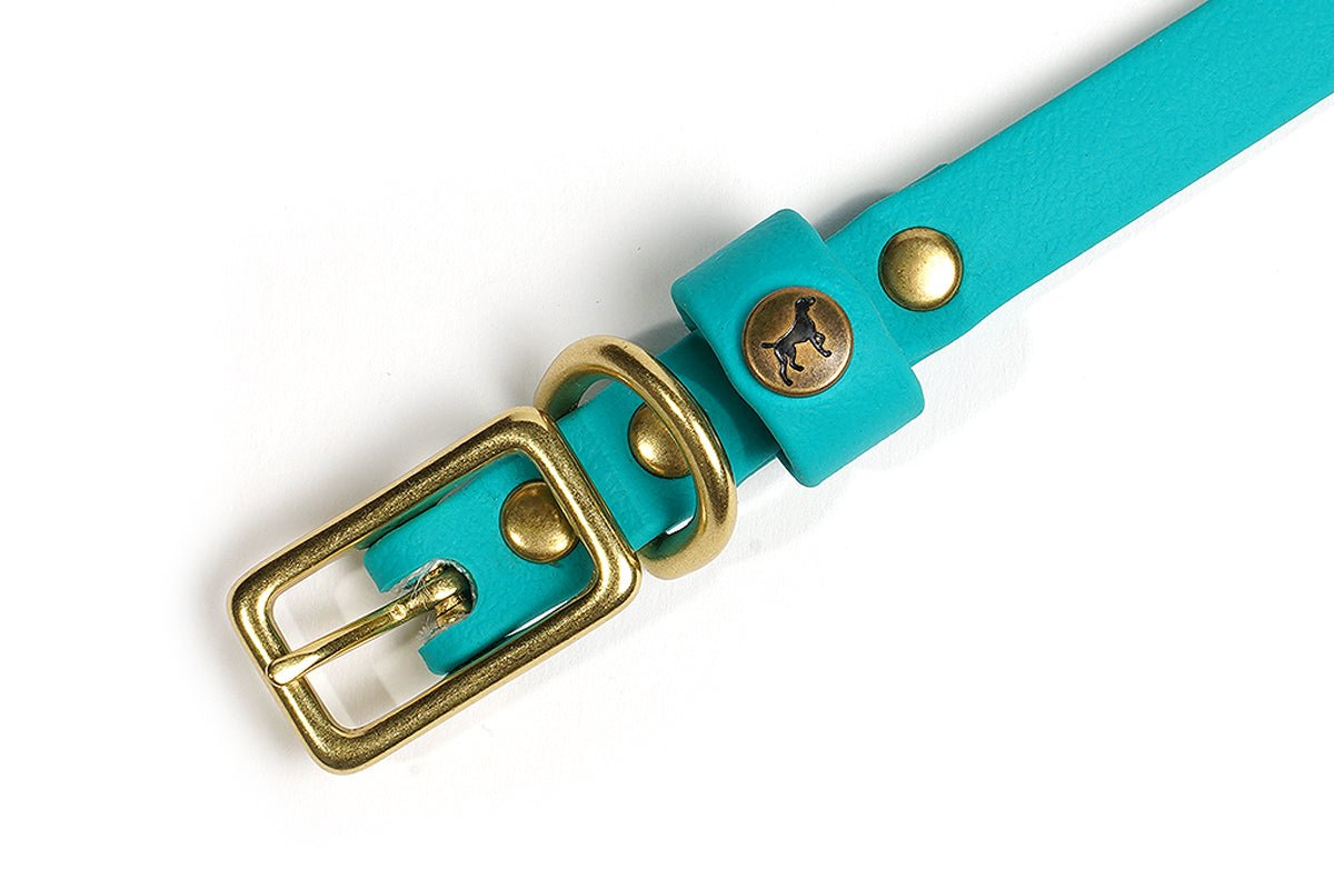 Pointer Traditions Sporting Puppy Collar - Teal - Angler's Pro Tackle & Outdoors