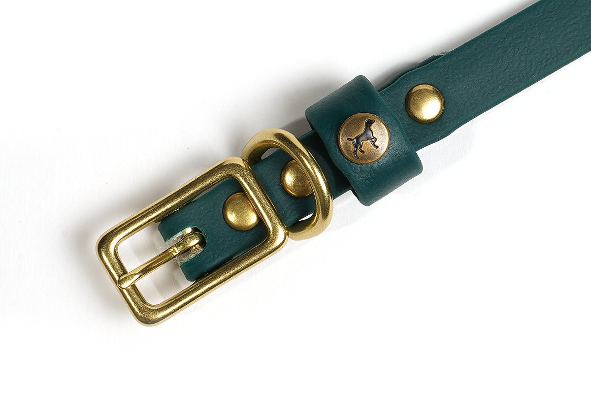 Pointer Traditions Sporting Puppy Collar - Woodland Green - Angler's Pro Tackle & Outdoors