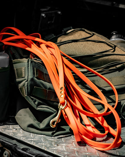 Pointer Traditions Training Check Cord - Blaze Orange - Angler's Pro Tackle & Outdoors