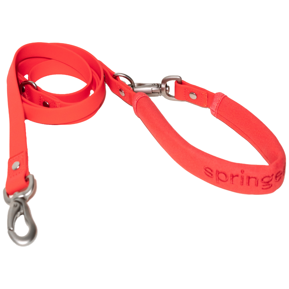Springer Dog Leash