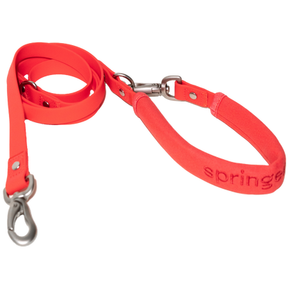Springer Dog Leash