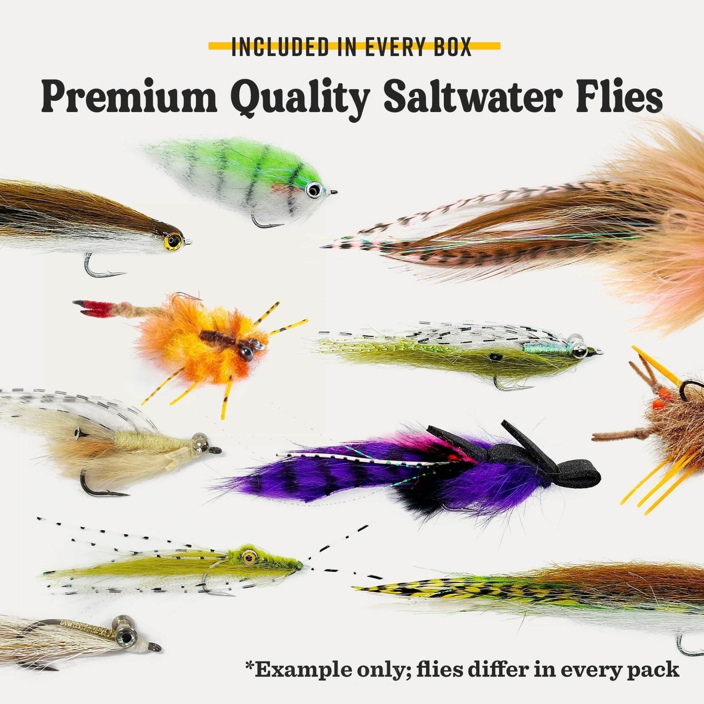 Postfly Saltwater Fly Assortment Box - Angler's Pro Tackle & Outdoors