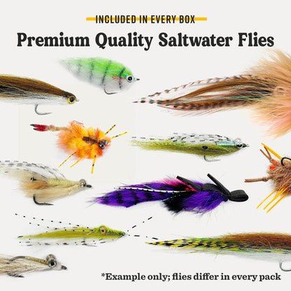 Postfly Saltwater Fly Assortment Box - Angler's Pro Tackle & Outdoors