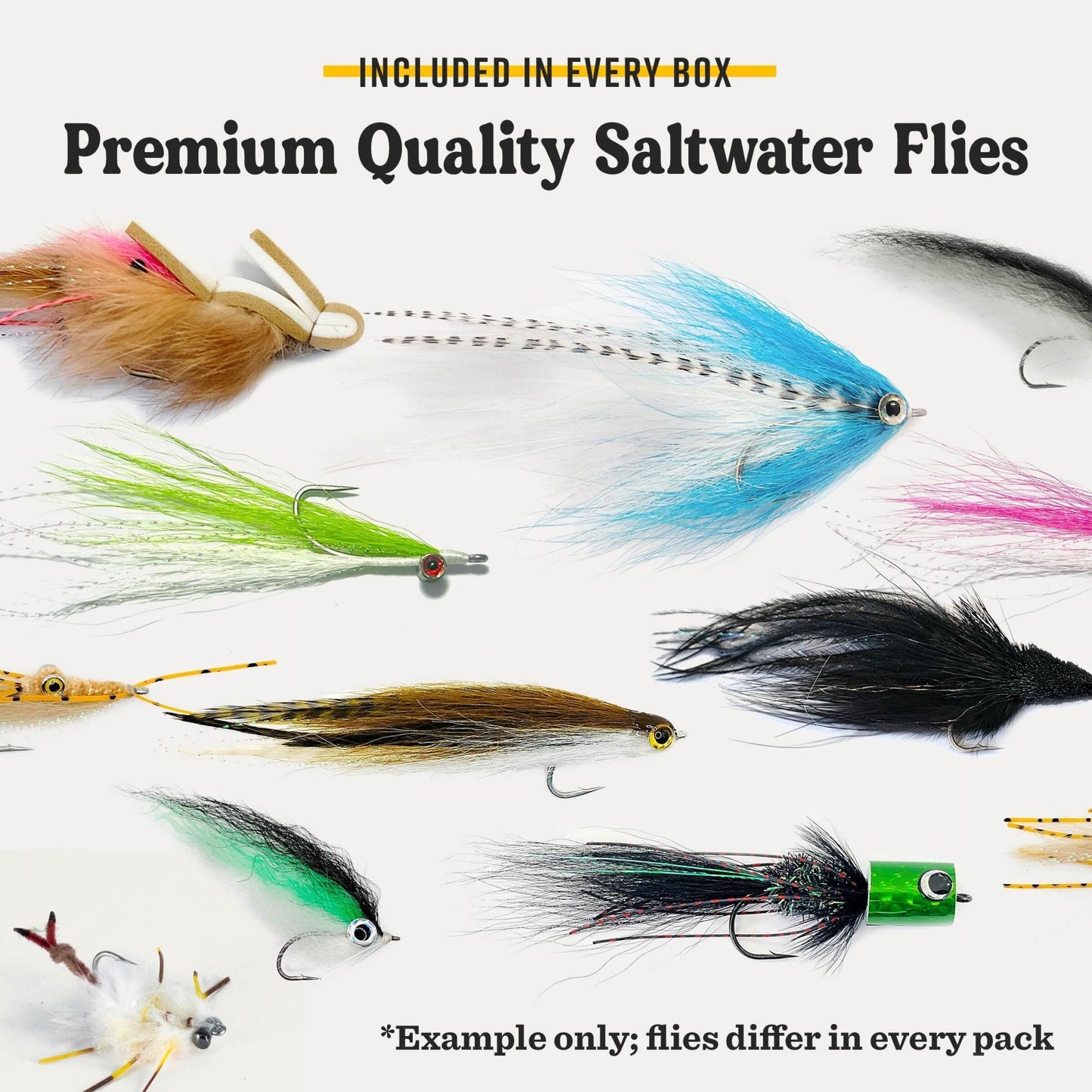 Postfly Saltwater Fly Assortment Box - Angler's Pro Tackle & Outdoors