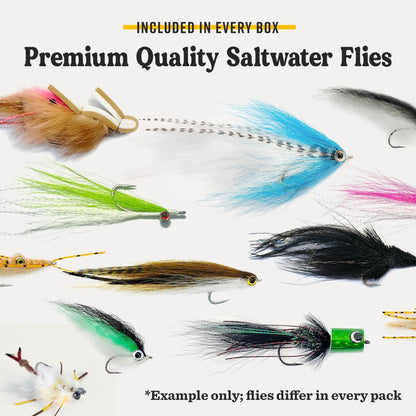 Postfly Saltwater Fly Assortment Box - Angler's Pro Tackle & Outdoors