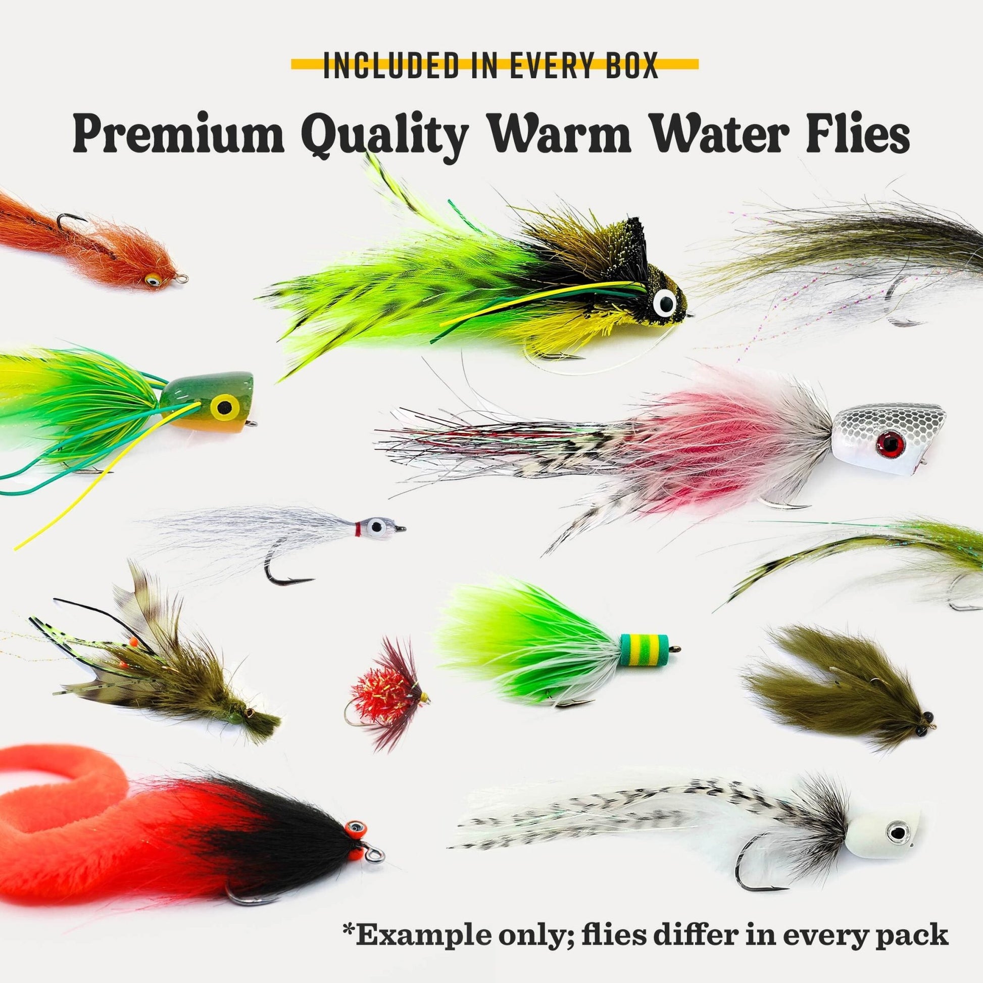 Postfly Warmwater Fly Assortment Box - Angler's Pro Tackle & Outdoors