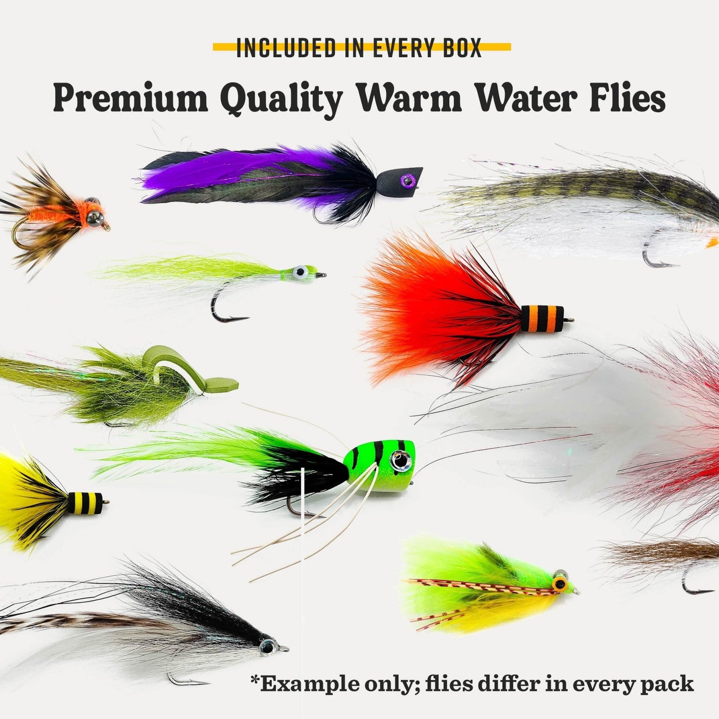 Postfly Warmwater Fly Assortment Box - Angler's Pro Tackle & Outdoors