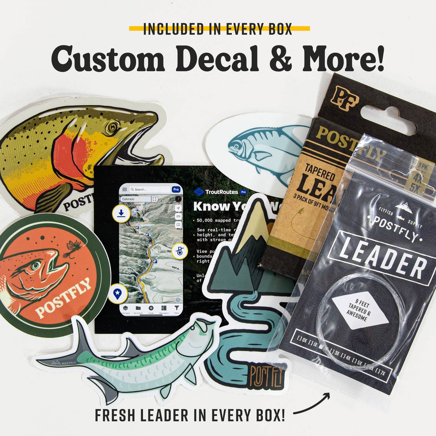 Postfly Warmwater Fly Tying Kit Box