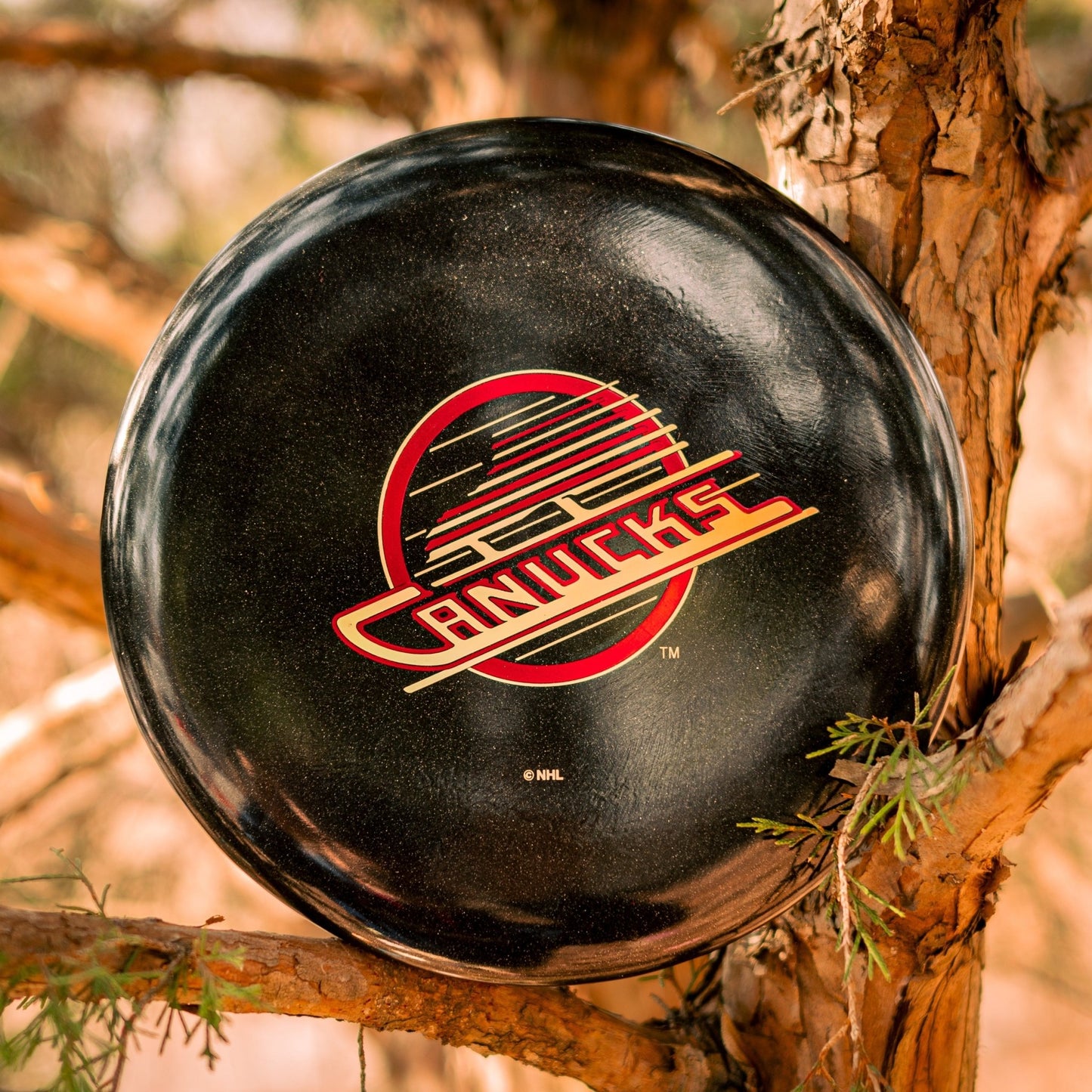 Prodigy M4 500 Glimmer Plastic - NHL Vintage Hockey Vancouver Canucks Stamp - Angler's Pro Tackle & Outdoors