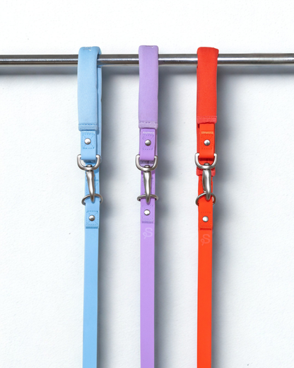 Springer Dog Leash