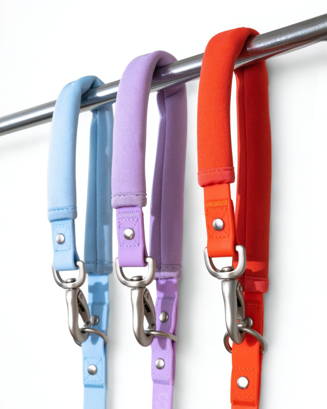 Springer Dog Leash
