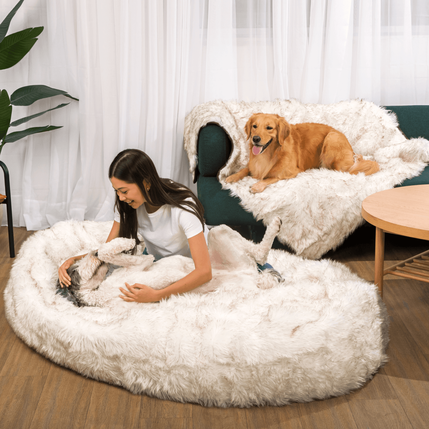 PupCloud™ Human - Size Dog Bed + Matching Waterproof Blanket Bundle - White with Brown Accents - Angler's Pro Tackle & Outdoors