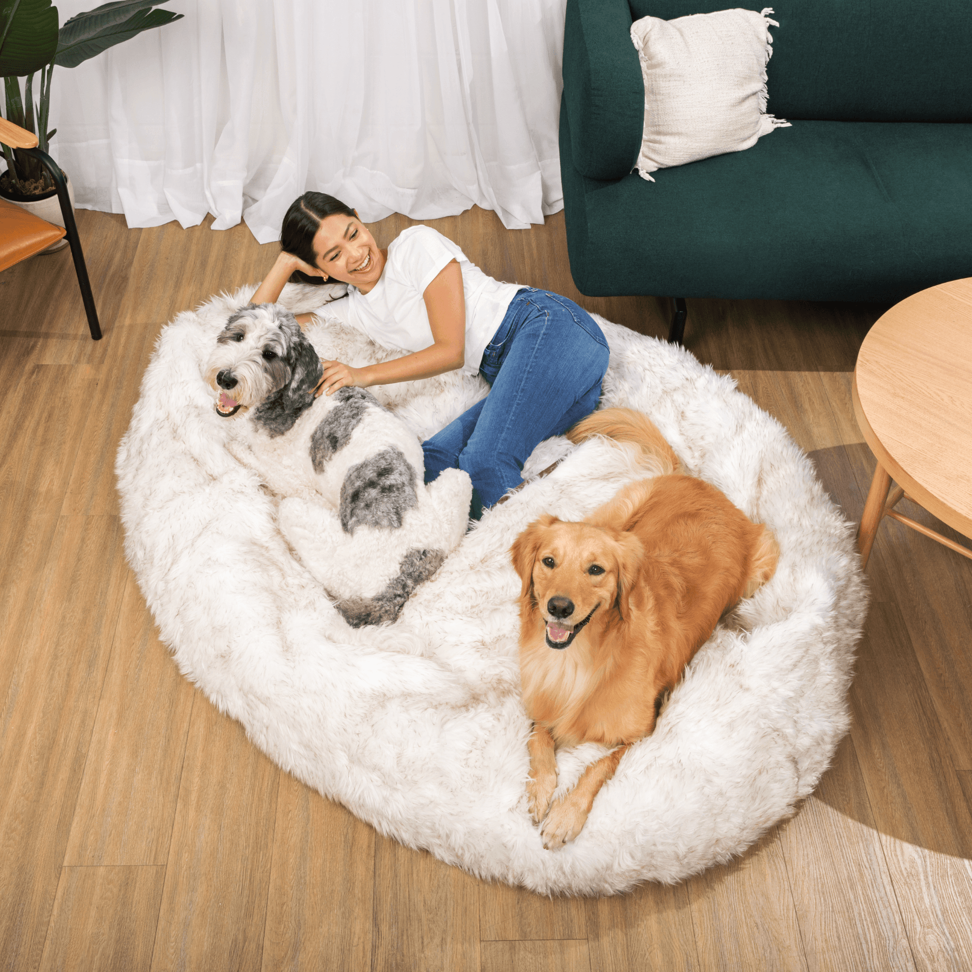 PupCloud™ Human - Size Dog Bed + Matching Waterproof Blanket Bundle - White with Brown Accents - Angler's Pro Tackle & Outdoors