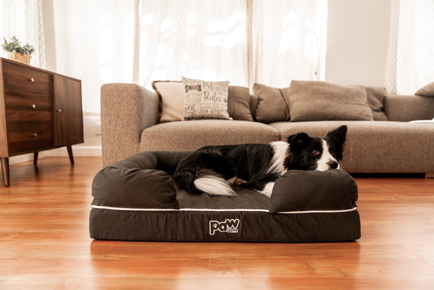 PupLounge™ Memory Foam Dog Bed Cover - Charcoal Grey (Bed Not Included) - Small - Angler's Pro Tackle & Outdoors