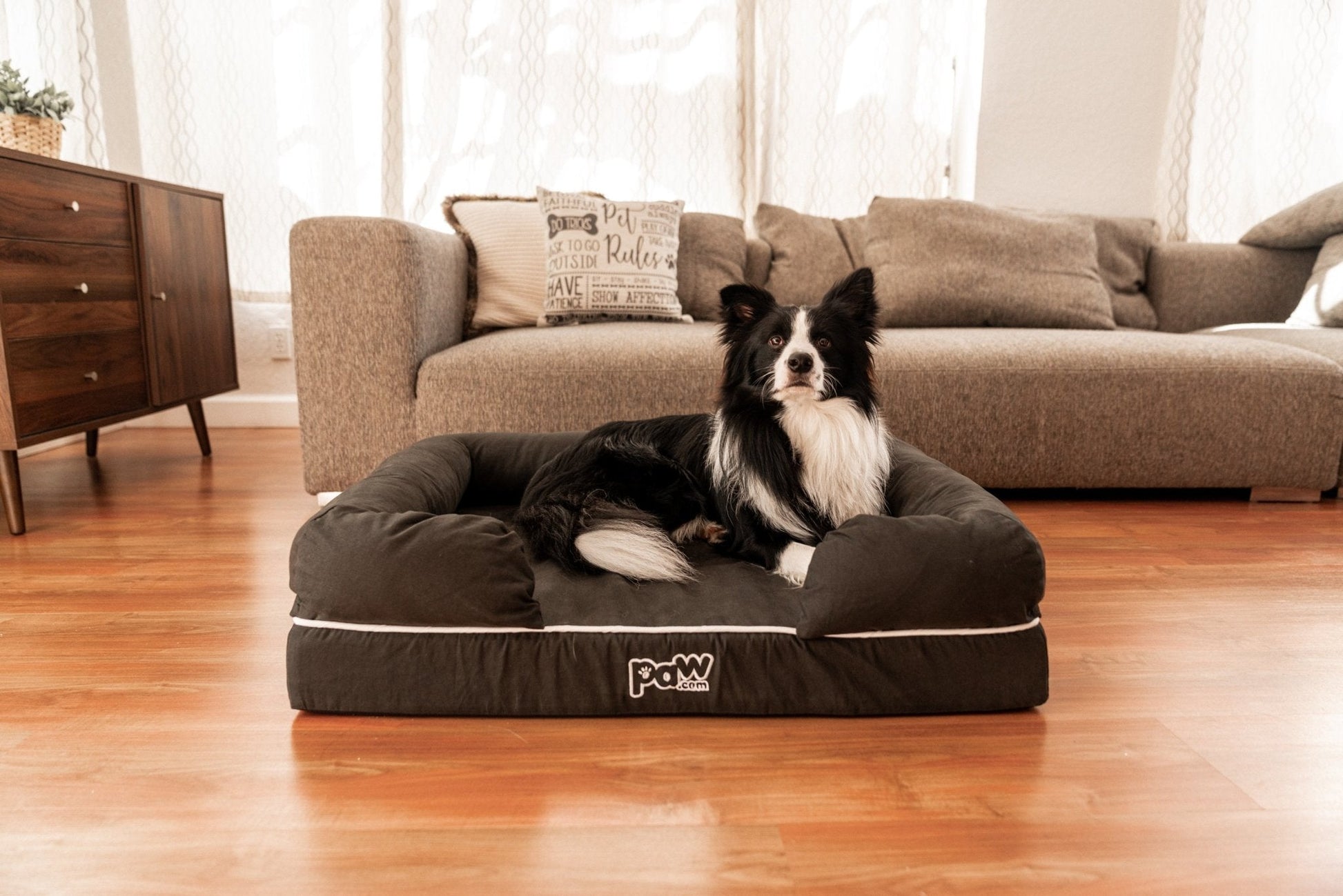 PupLounge™ Memory Foam Dog Bed Cover - Charcoal Grey (Bed Not Included) - Small - Angler's Pro Tackle & Outdoors