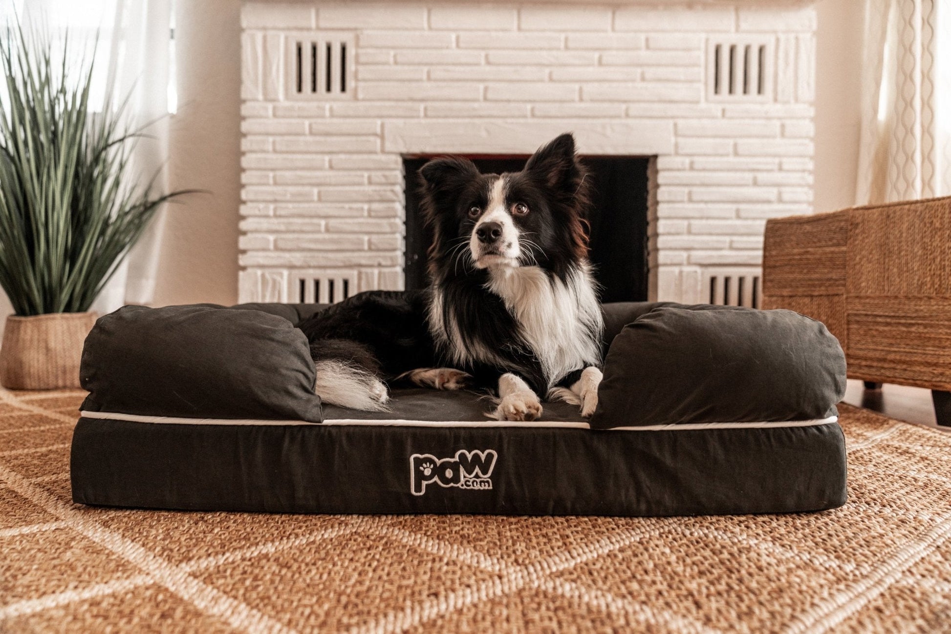 PupLounge™ Memory Foam Dog Bed Cover - Charcoal Grey (Bed Not Included) - Small - Angler's Pro Tackle & Outdoors