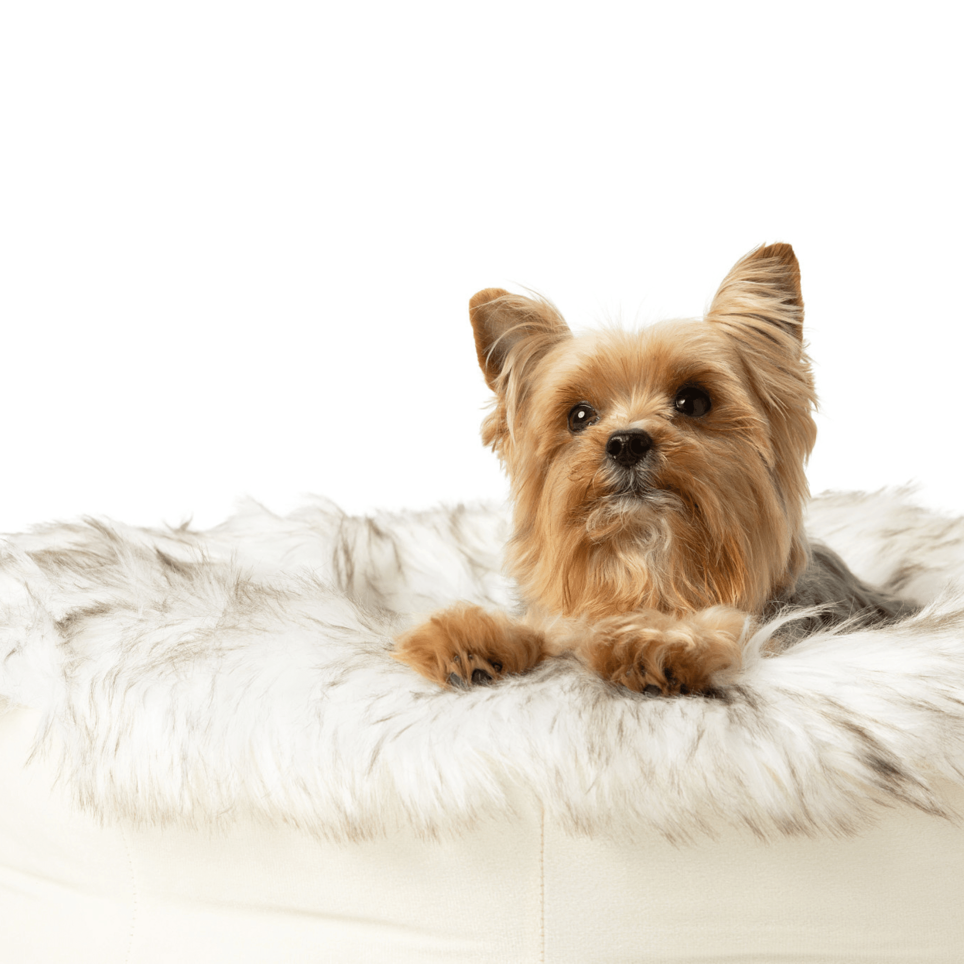 PupPouf™ Faux Fur Donut Dog Bed - White with Brown Accents - Angler's Pro Tackle & Outdoors