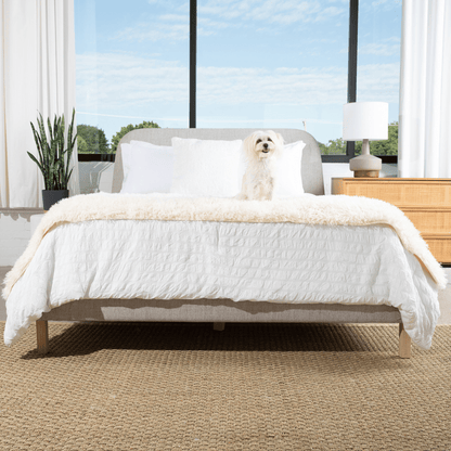 PupProtector™ Luxe Waterproof Bed Runner - Plush Sheep Ivory - Angler's Pro Tackle & Outdoors