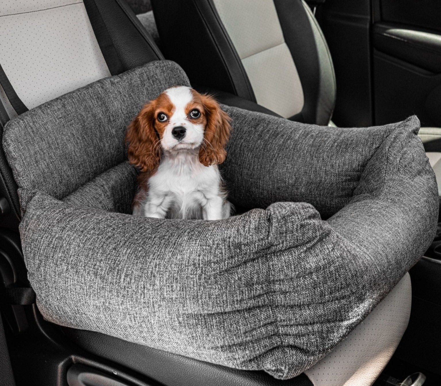 PupProtector™ Memory Foam Dog Car Bed - Angler's Pro Tackle & Outdoors